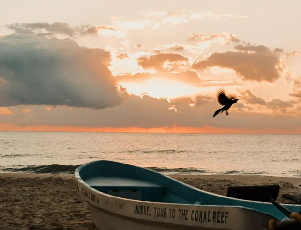 Tunich Jungle Cabañas hotel detail image 1