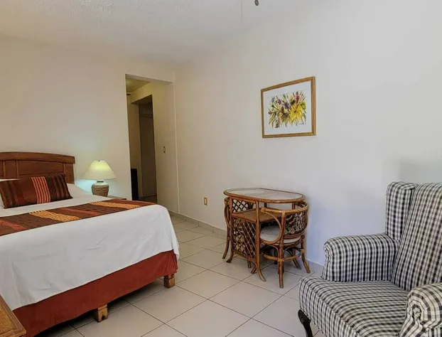 Hotel Quinta San Carlos hotel detail image 2