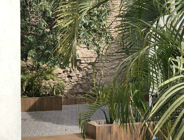 Hotel Casa 511 hotel detail image 3