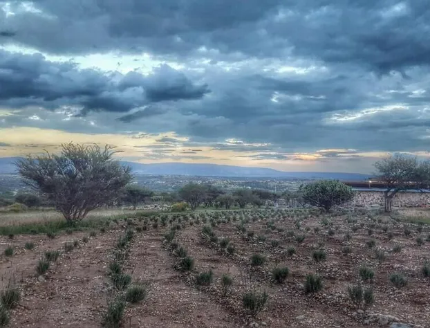 El Macehual hotel detail image 3