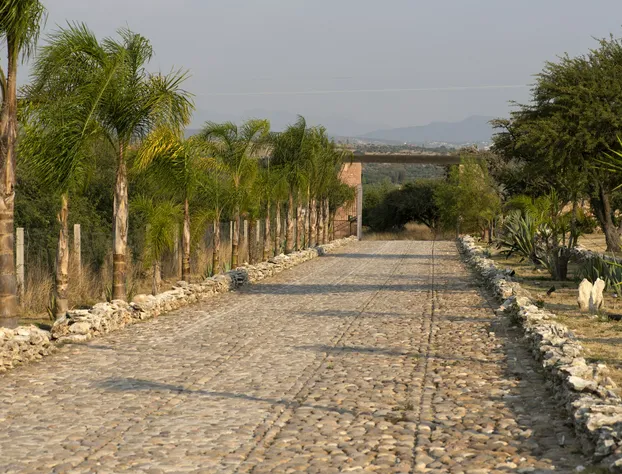 El Macehual hotel detail image 4