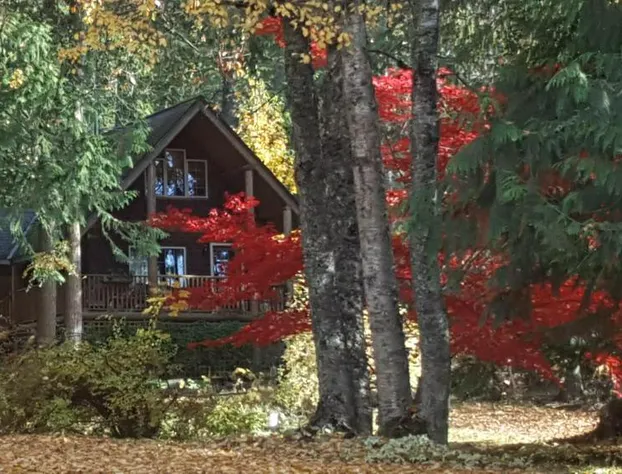 Wedgwood Manor and Glamping Retreat hotel detail image 2