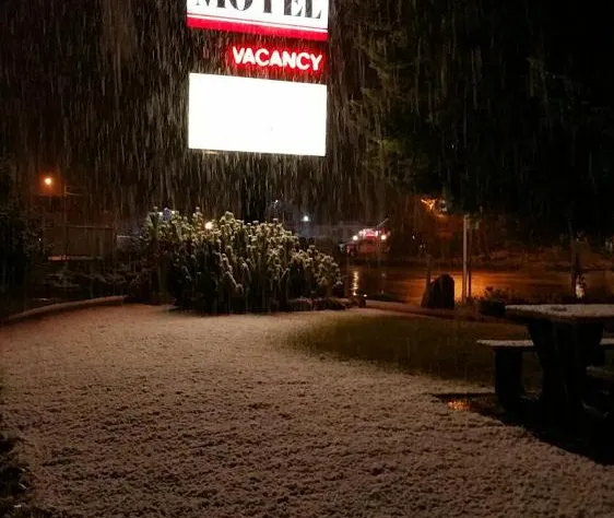 Yellowhead Motel hotel detail image 2