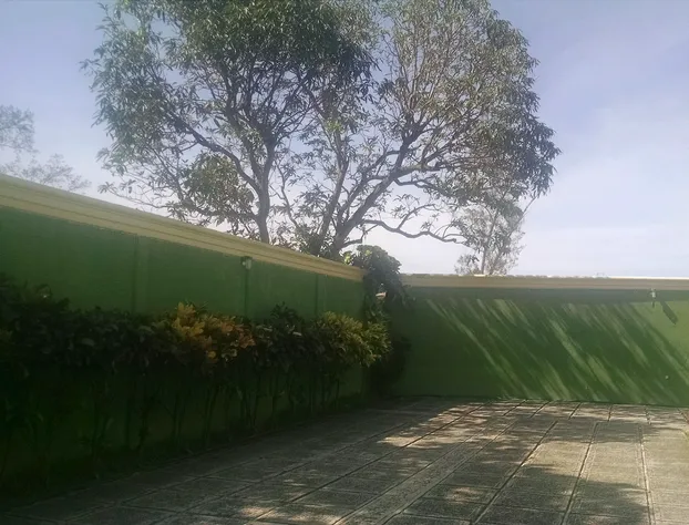 Palmera Suites hotel detail image 3