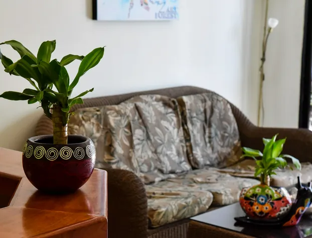 Hotel Akumal hotel detail image 2