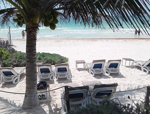 Playa Las Palmas Glamping Tulum hotel detail image 4
