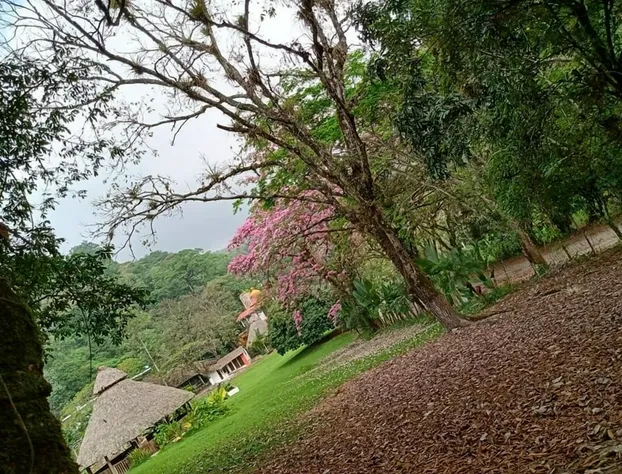 Finca Santa Mónica hotel detail image 4