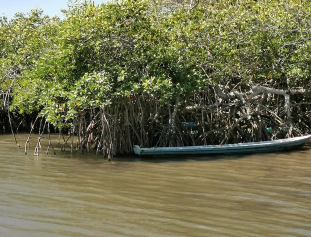 Hotel Villas Arcon hotel detail image 2