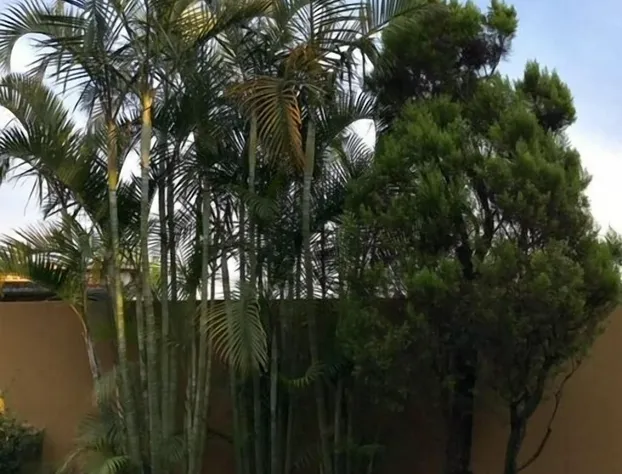 Nican Mo Calli hotel detail image 2