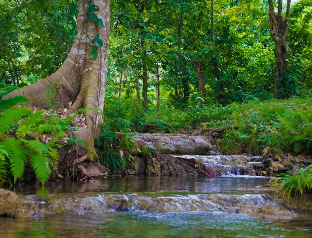 Winika Habitat hotel detail image 1