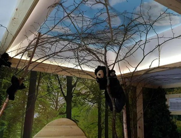 Bear Cove Inn hotel detail image 4