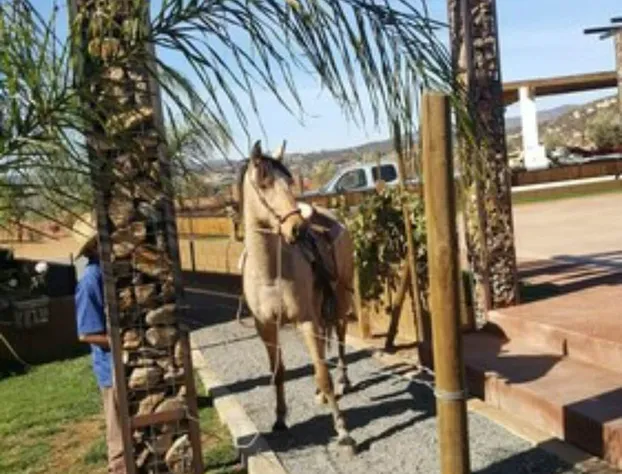 Cabañas Rancho Palos Verdes hotel detail image 2
