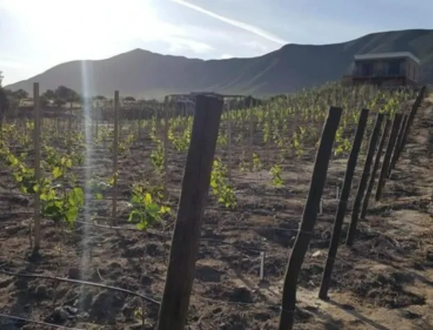 Cabañas Rancho Palos Verdes hotel detail image 4