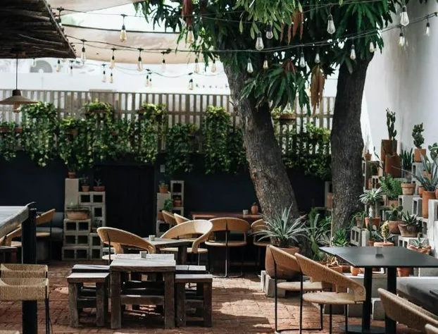 Drift San Jose del Cabo, a Member of Design Hotels hotel detail image 2