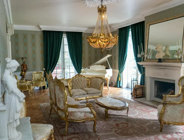 Mansion Papilio hotel detail image 3