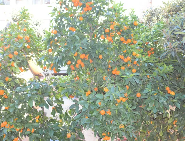 Boutique Hollywood hotel detail image 4