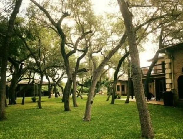 Live Oaks Bed and Breakfast hotel detail image 1