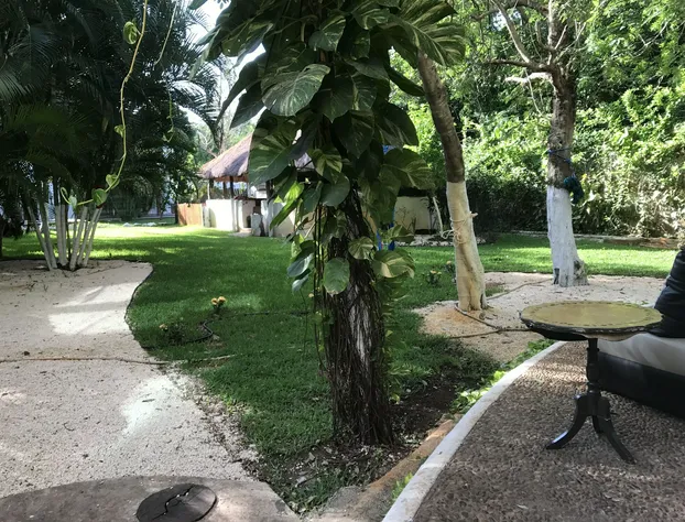 Casa la Selva hotel detail image 3