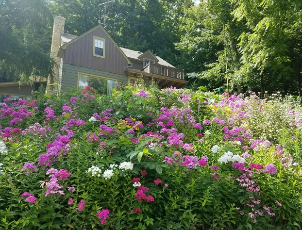 Contented Cottage Bed & Breakfast hotel detail image 1