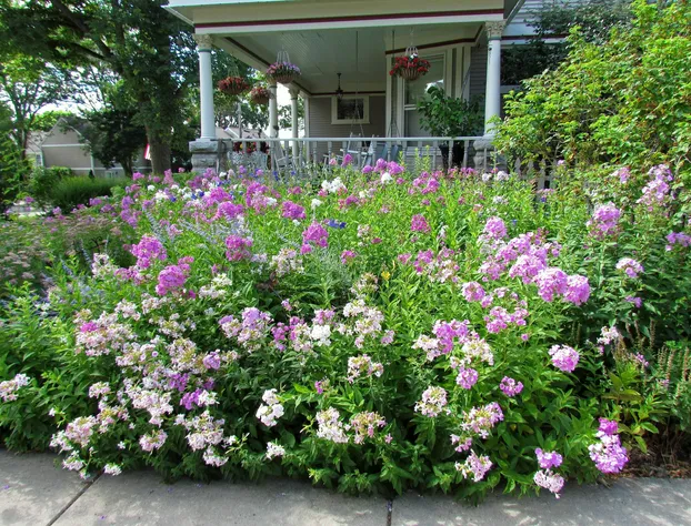 McConnell Inn hotel detail image 3