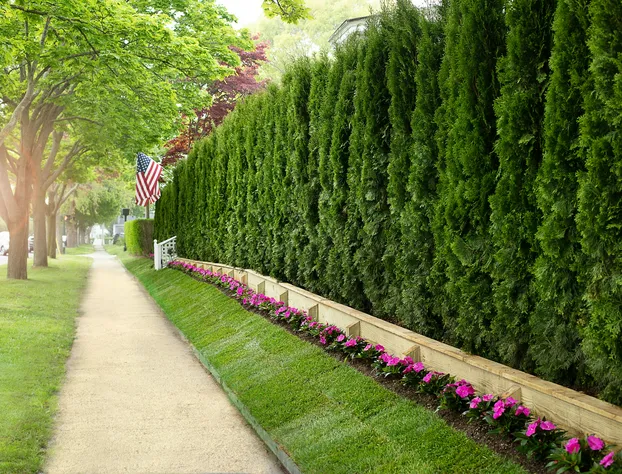 Maison Vivienne Southampton hotel detail image 1