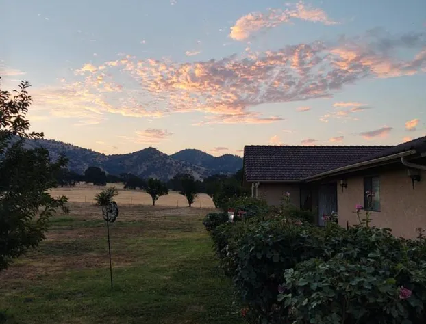 The Branded Calf B&B hotel detail image 1