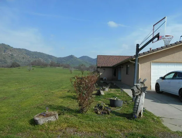 The Branded Calf B&B hotel detail image 3