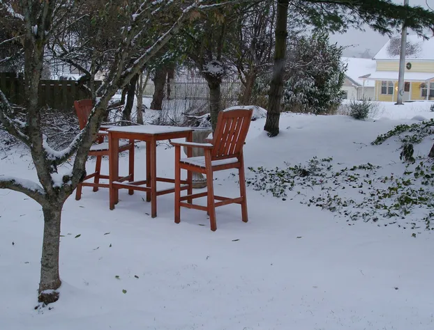 Argyle House Bed and Breakfast hotel detail image 4