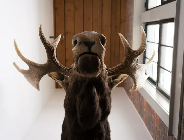 The Mill Inn hotel detail image 2