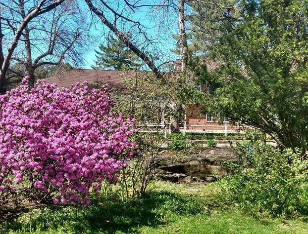 The Governor's Inn hotel detail image 2