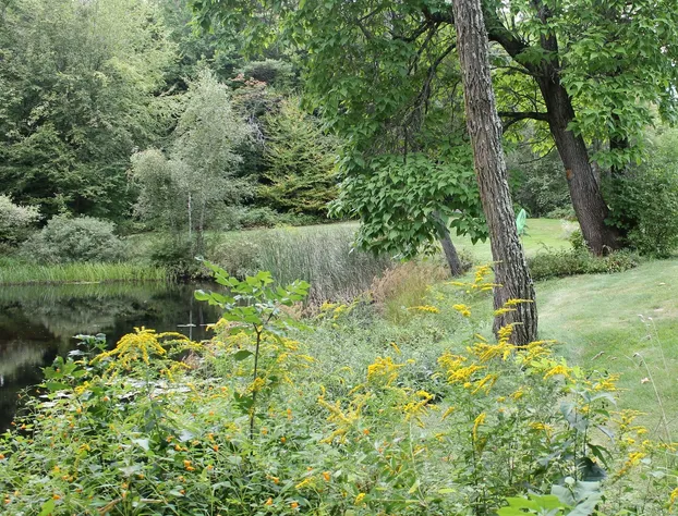 King Hill Inn & Kitchen hotel detail image 4