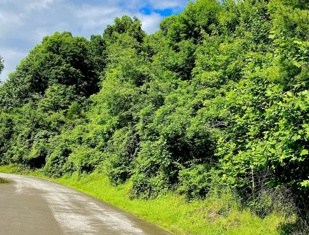 Sutton Lane Motel hotel detail image 3