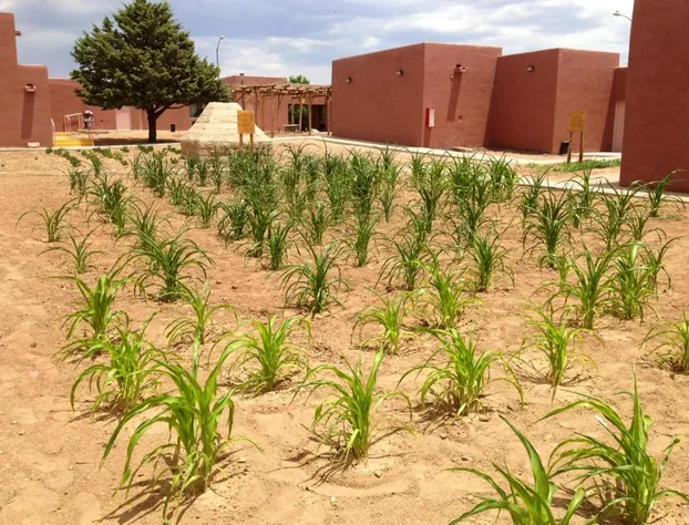 Hopi Cultural Center hotel detail image 1