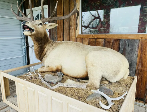 Woodyzzz Motel hotel detail image 3