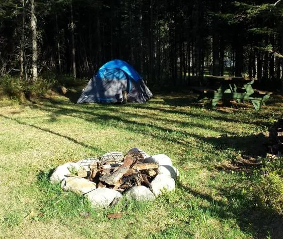 Deer Mountain Lodge & Wilderness Resort hotel detail image 2