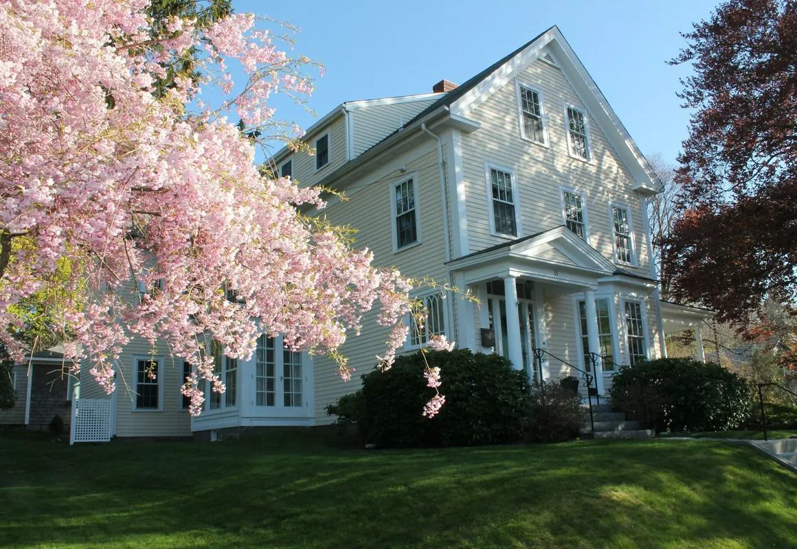 Beech Tree Bed and Breakfast hotel hero