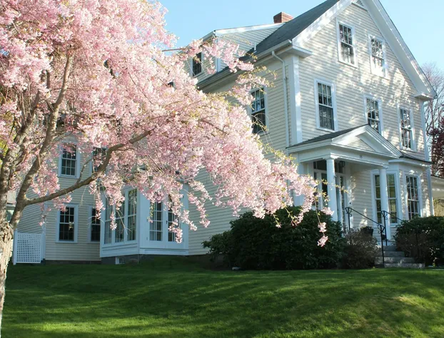 Beech Tree Bed and Breakfast hotel detail image 1