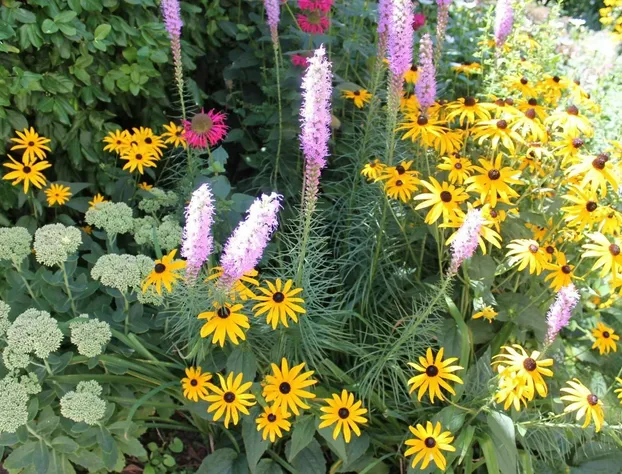 Beech Tree Bed and Breakfast hotel detail image 3
