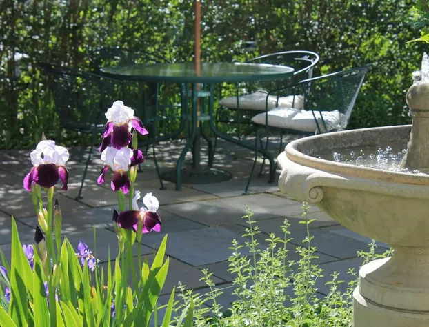 Beech Tree Bed and Breakfast hotel detail image 2