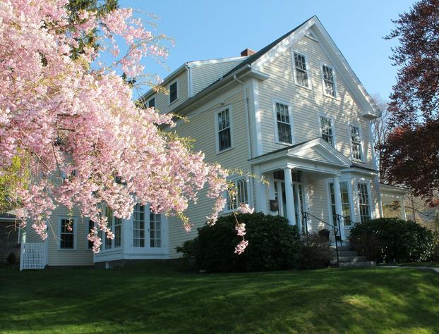 Beech Tree Bed and Breakfast hotel detail image 1