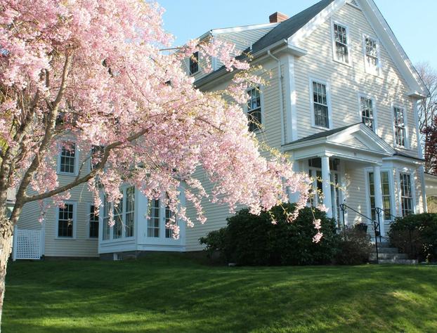 Beech Tree Bed and Breakfast hotel detail image 2