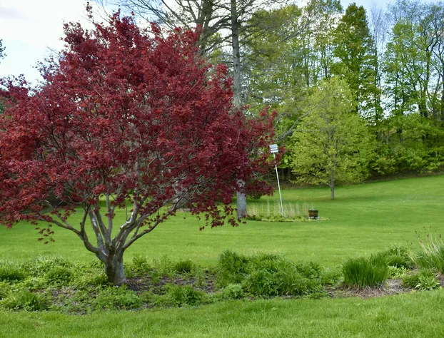 Harbour House Inn hotel detail image 2