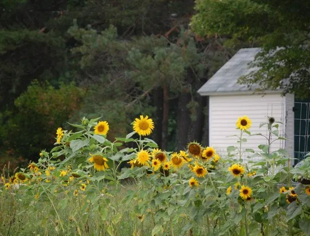 Clary Lake Bed and Breakfast hotel detail image 2
