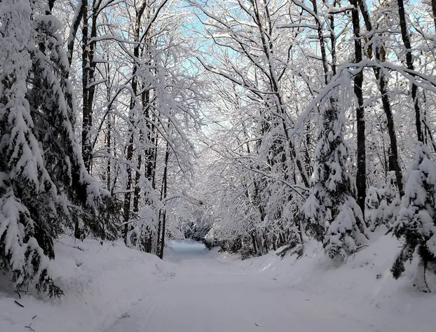 Lakewoods Resort & Lodge hotel detail image 2