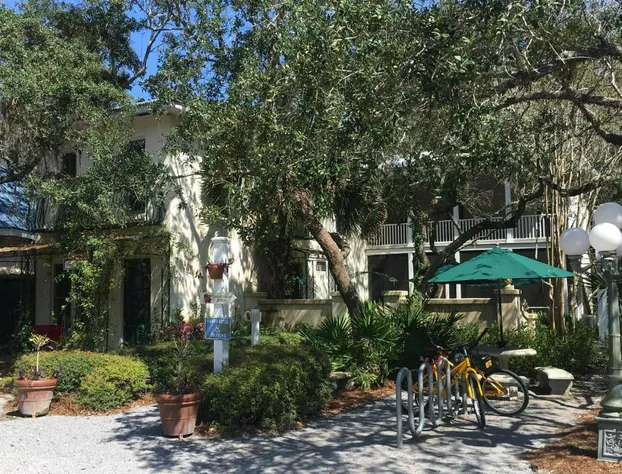 Hibiscus Coffee & Guesthouse hotel detail image 2