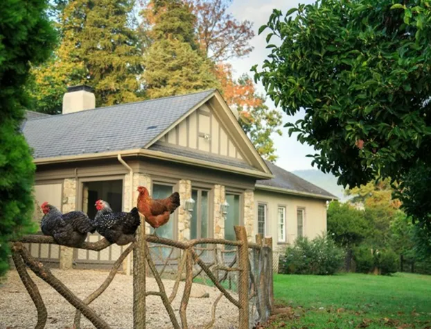 Glen Gordon Manor hotel detail image 3