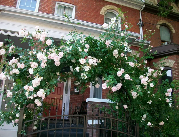 Comfy Guest House hotel detail image 2