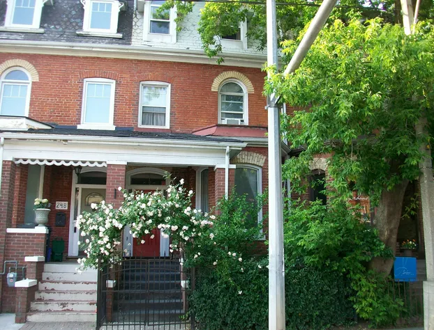 Comfy Guest House hotel detail image 1