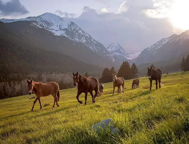 The Wild Game Inn hotel detail image 3