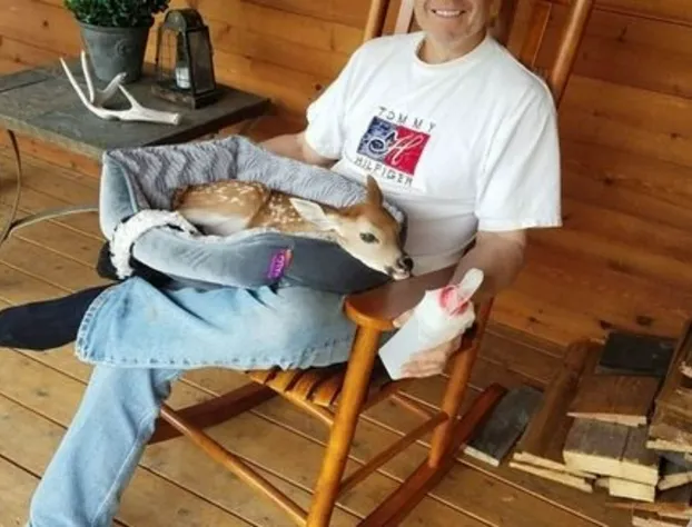 The Wild Game Inn hotel detail image 4